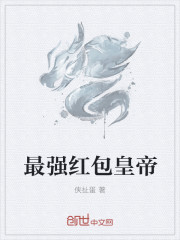 陆少追妻太给力