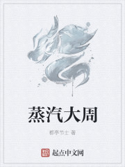 蒸汽大周