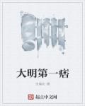 大明第一痞