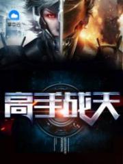 高手至尊