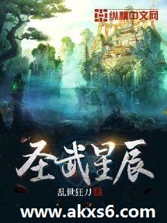 圣武星辰