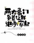 两大豪门争着让我继承家业
