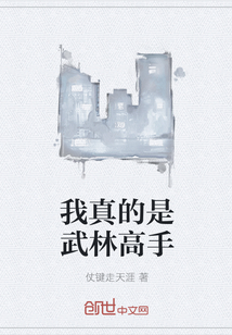 我真的是武林高手